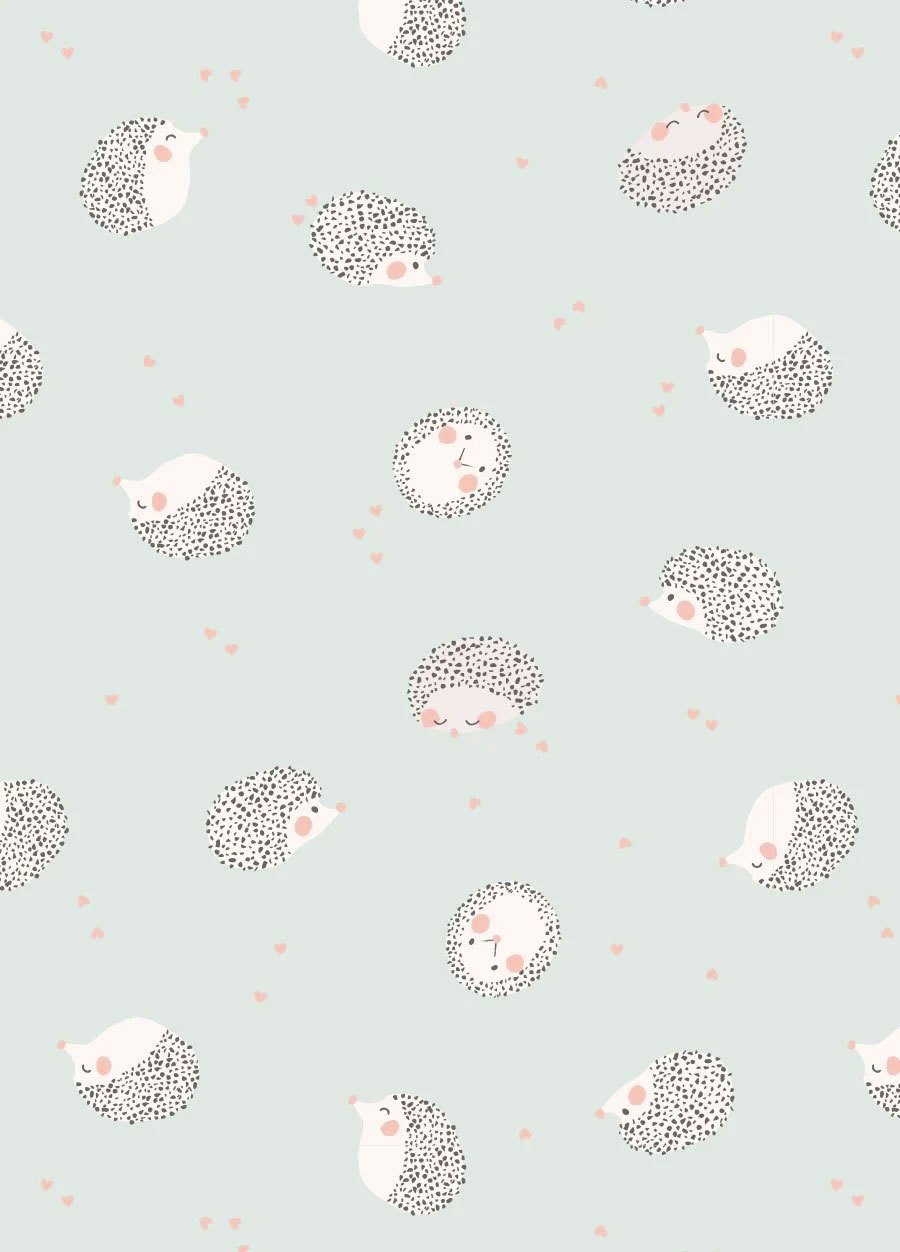 新生兒棉質蝴蝶衣(厚款)-刺蝟寶寶