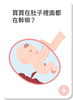 寶寶在肚子裡面都在幹嘛?