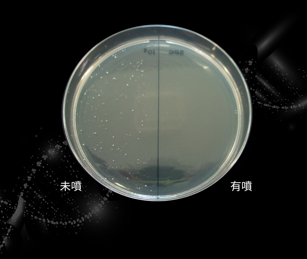 蘆薈抗菌洗手慕絲-補充瓶